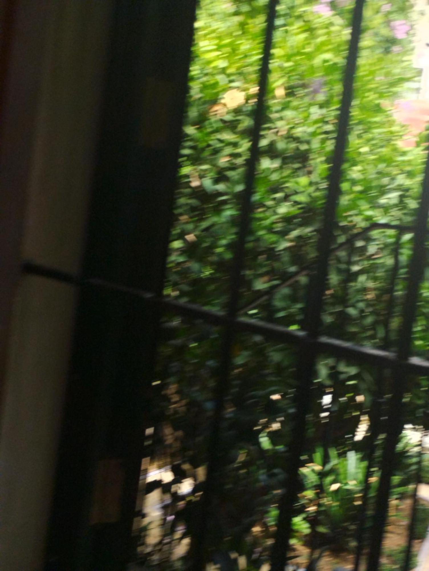 Appartamento La Casa De Pepa Siviglia Esterno foto