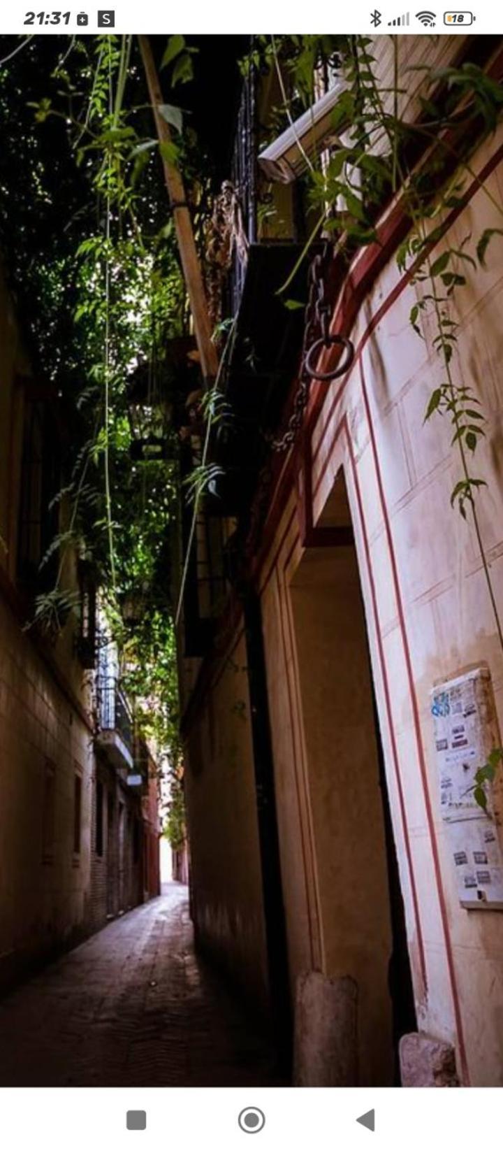 Appartamento La Casa De Pepa Siviglia Esterno foto